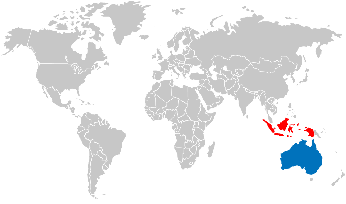 World Map